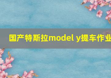 国产特斯拉model y提车作业